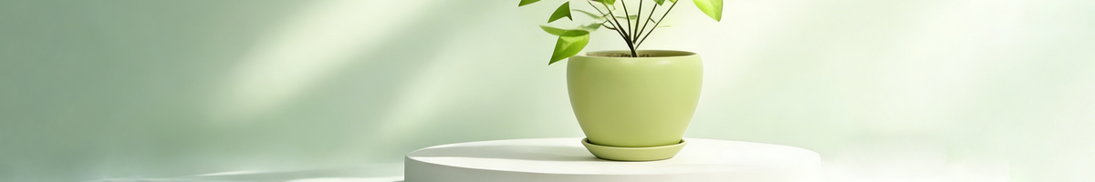 ABUIABAEGAAgjMyGzAYo0svzmAEwsAk4yAE